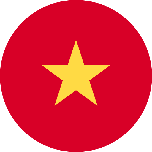 Ngôn ngữ vietnam